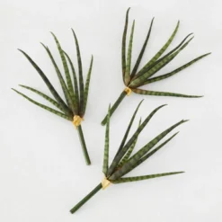 Faux Snake Grass Pick - Set Of 3