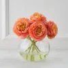 Ranunculus In Glass - Sunset