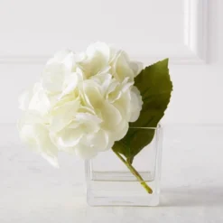 Hydrangea In Glass Vase