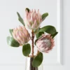 Protea Queen Spray - Set Of 3