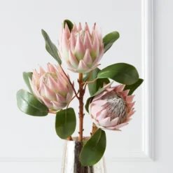 Protea Queen Spray - Set Of 3