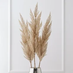 Pampas Grass - Set Of 3
