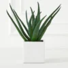 Faux Aloe Plant