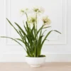 Faux Potted Agapanthus