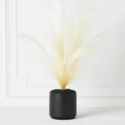 Plume In Kendall Pot