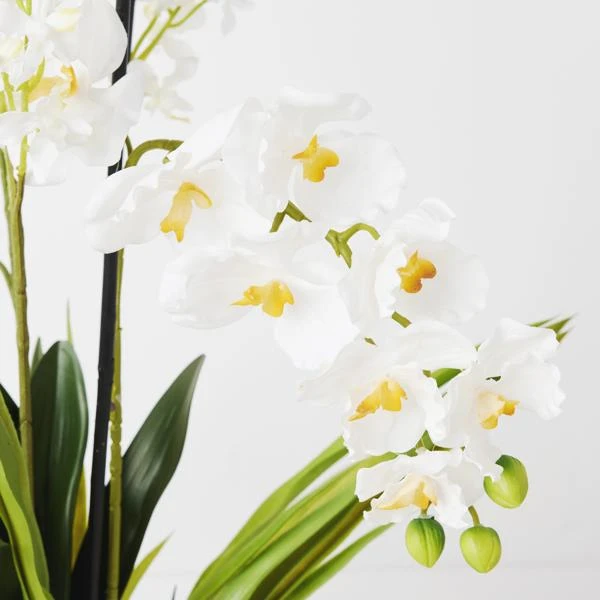 Orchids In Glass Bowl - Image 17