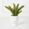 Selfie Succulents In Face Planter