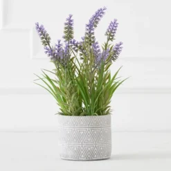 Lavender In Grey Pot