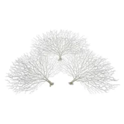 Faux Coral Fan - Set Of 3