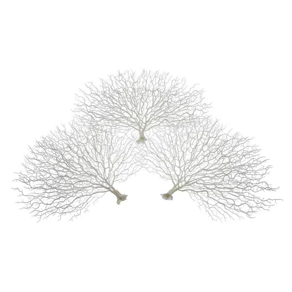 Faux Coral Fan - Set Of 3