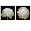 Gold And White Blossom On Black - Set Of 2
