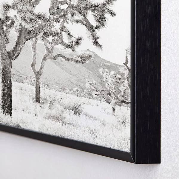 Joshua Tree Bliss - Image 2