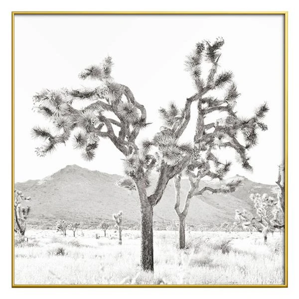 Joshua Tree Bliss - Image 4