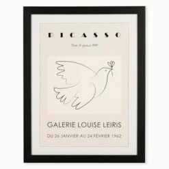 Picasso Dove