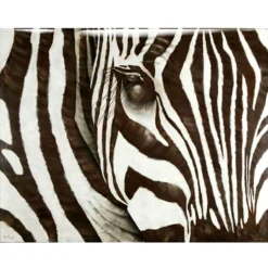 Zebra - Glass Coat